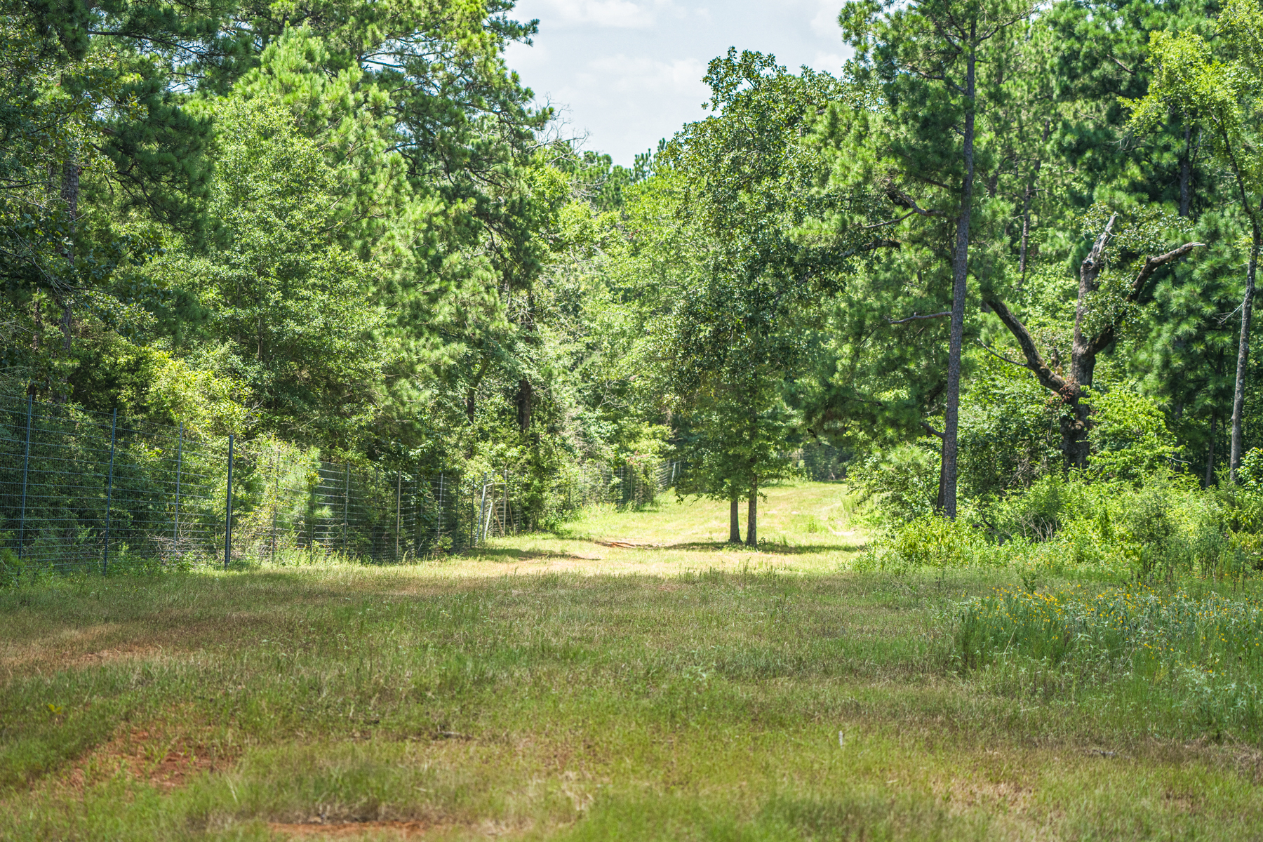 Diamond M Ranch property picture 24 of 53