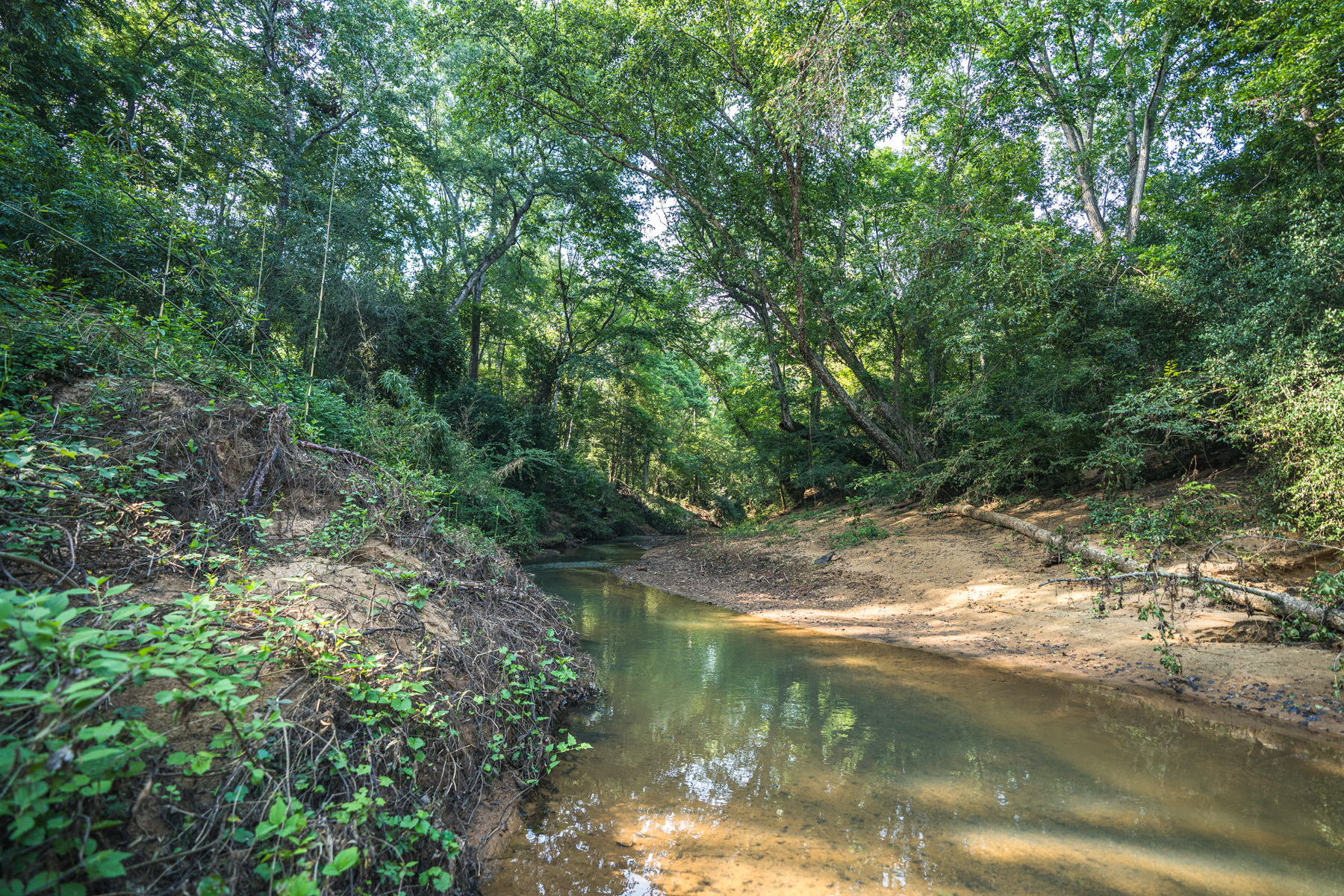 Diamond M Ranch property picture 28 of 53