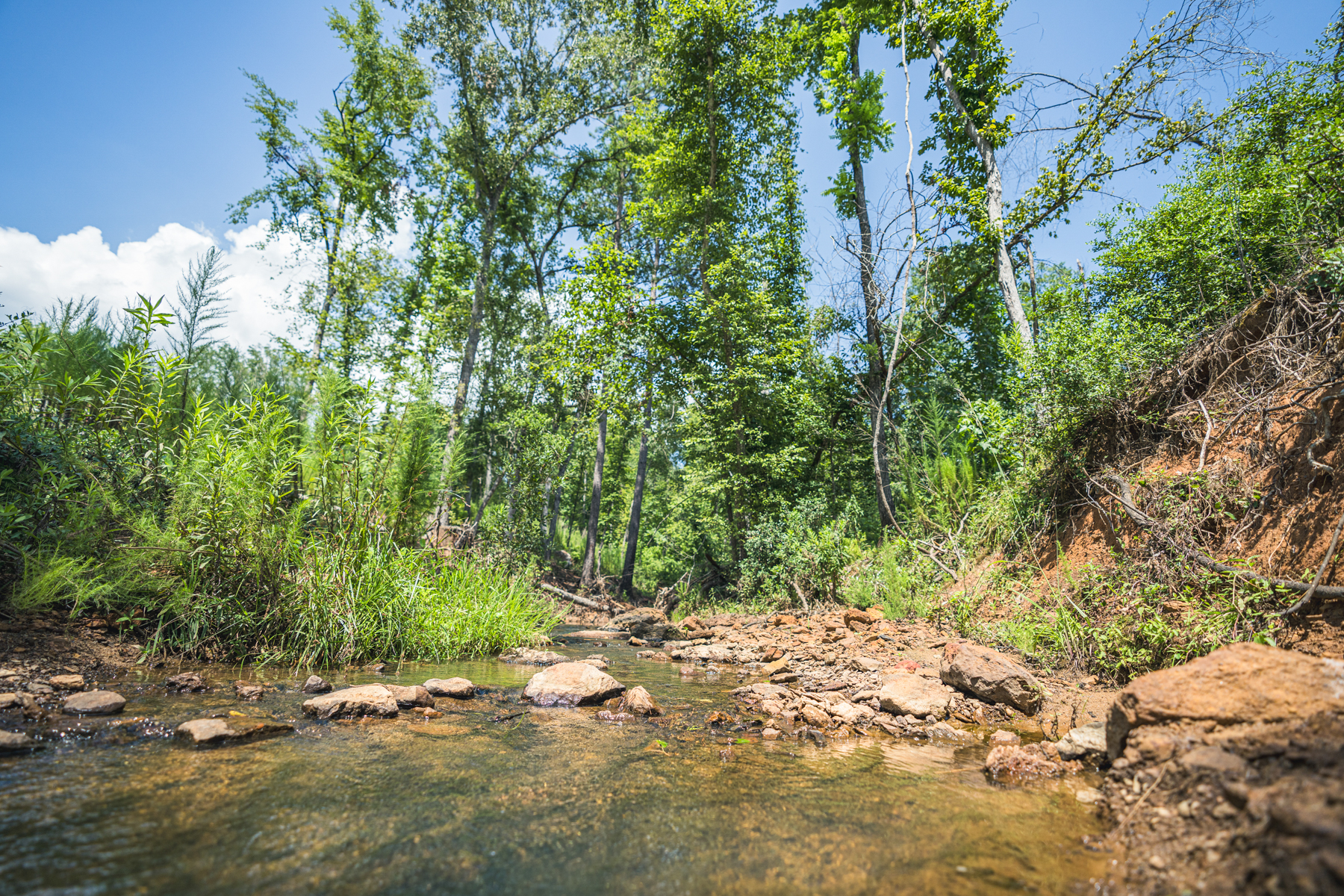 Diamond M Ranch property picture 23 of 53