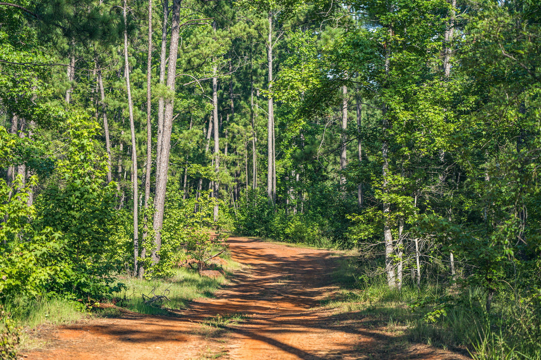 Diamond M Ranch property picture 22 of 53