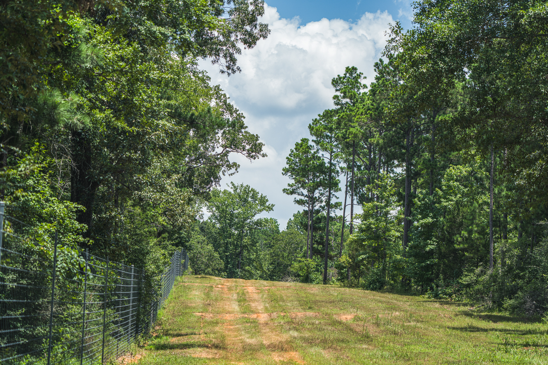 Diamond M Ranch property picture 16 of 53