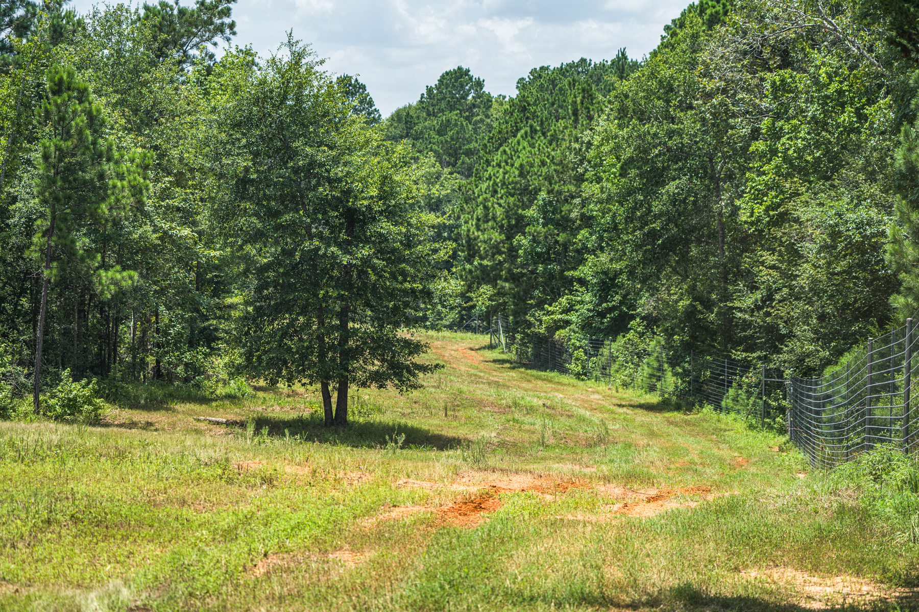 Diamond M Ranch property picture 25 of 53