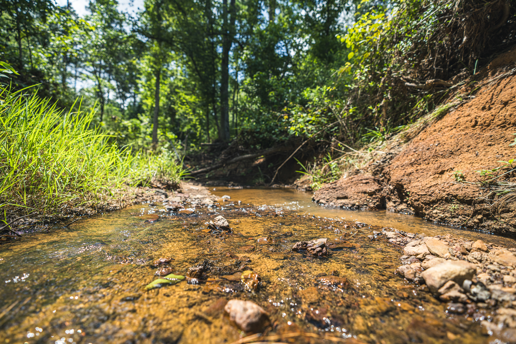 Diamond M Ranch property picture 17 of 53