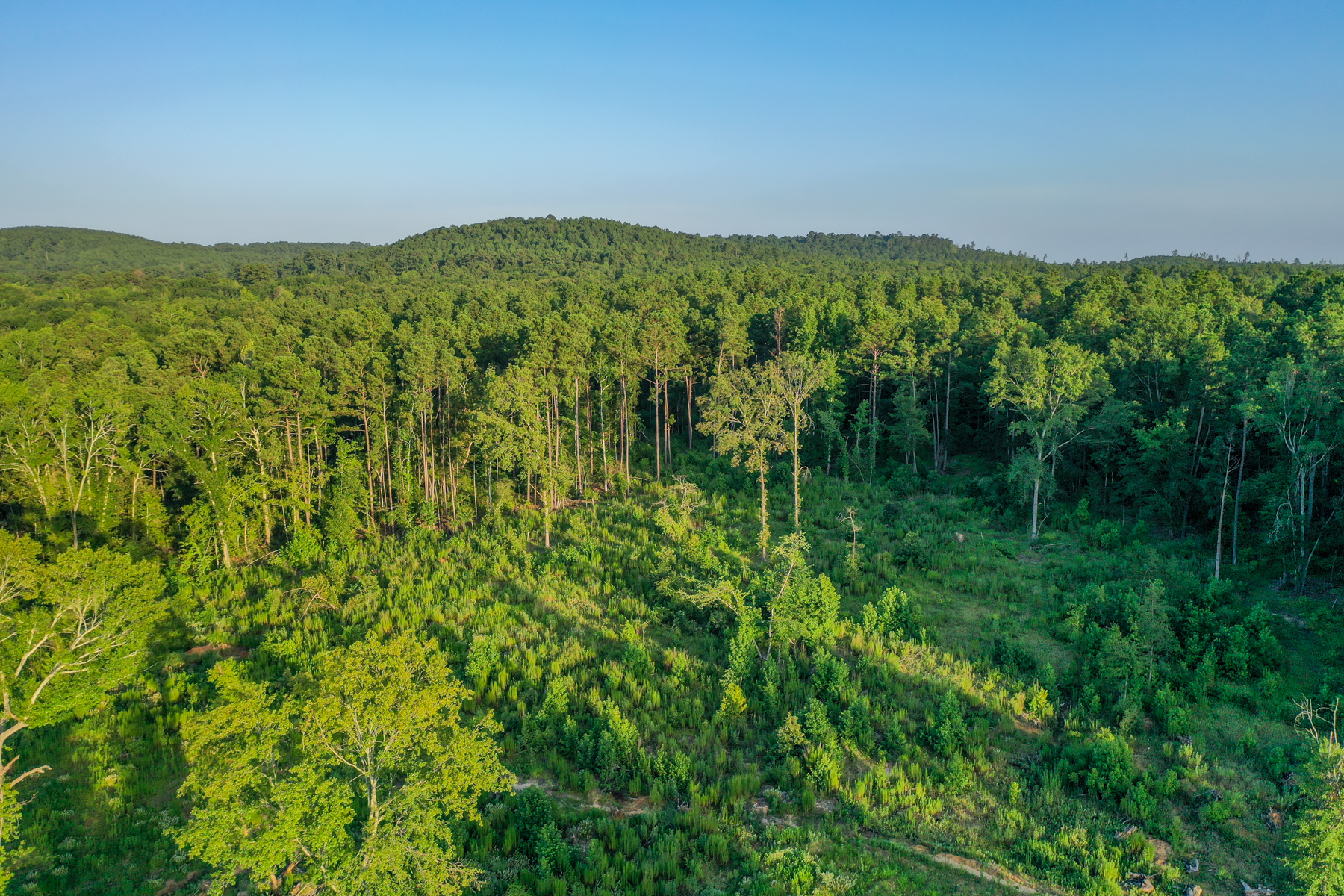 Diamond M Ranch property picture 15 of 53