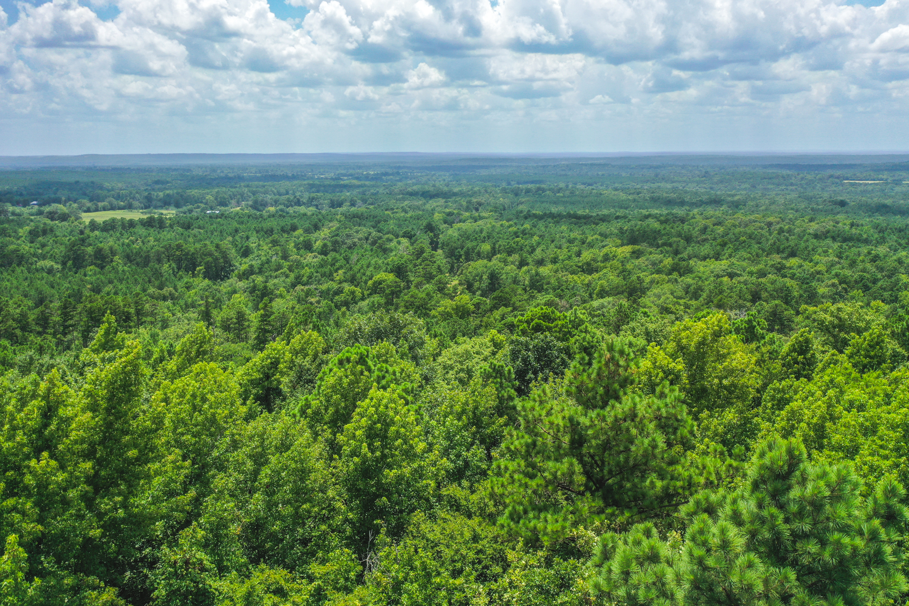 Diamond M Ranch property picture 12 of 53