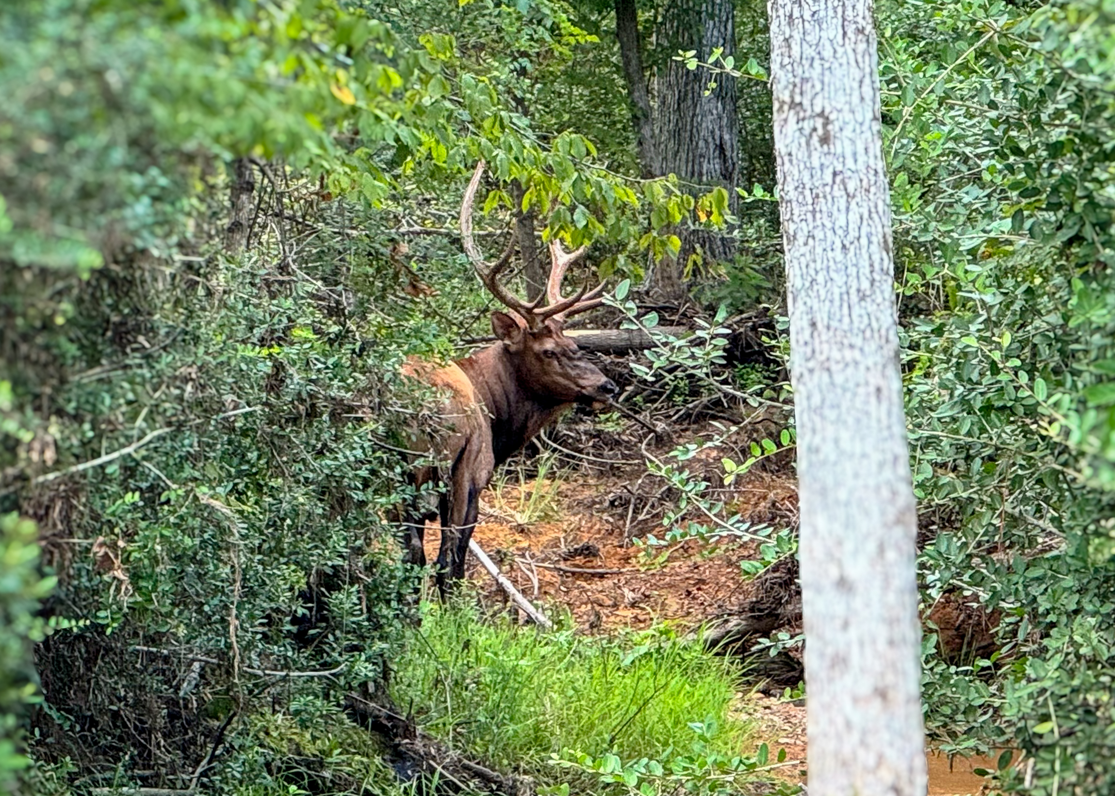 Diamond M Ranch property picture 10 of 53
