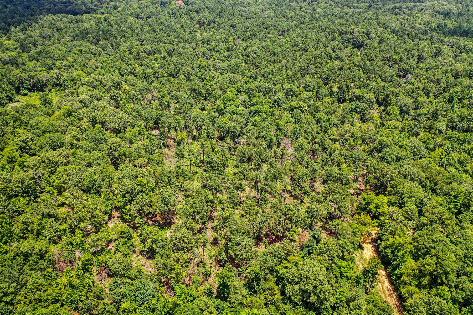 Diamond M Ranch property picture 11 of 53