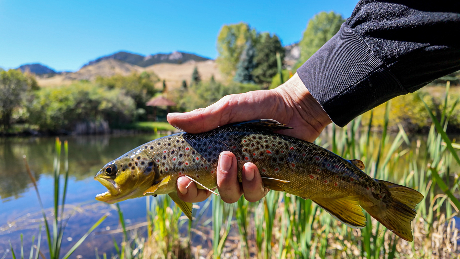 Little North Fork of Crazy Woman Ranch property picture 9 of 24