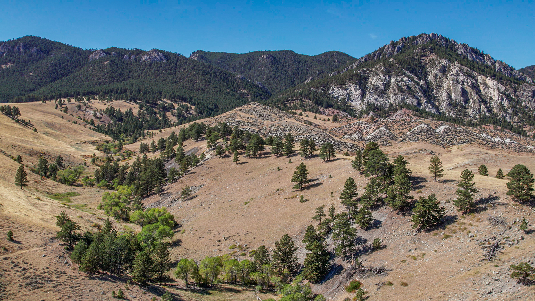 Little North Fork of Crazy Woman Ranch property picture 2 of 24