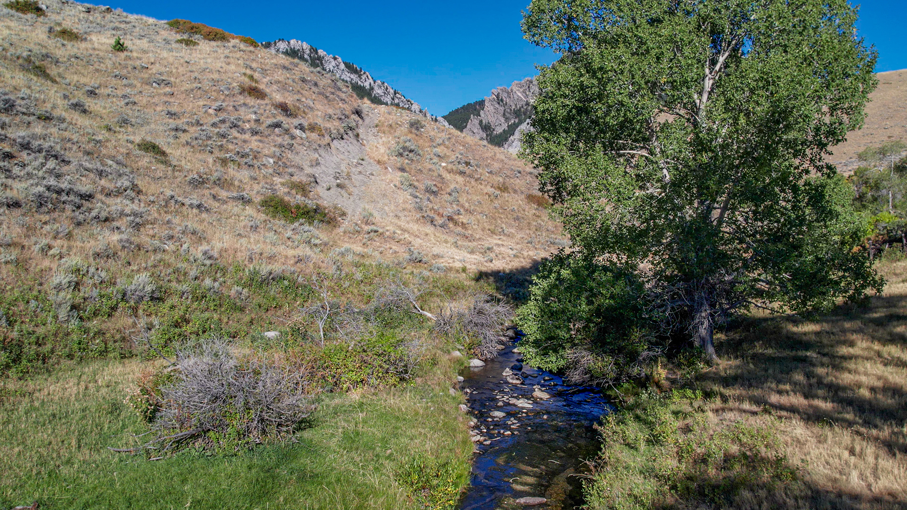 Little North Fork of Crazy Woman Ranch property picture 6 of 24