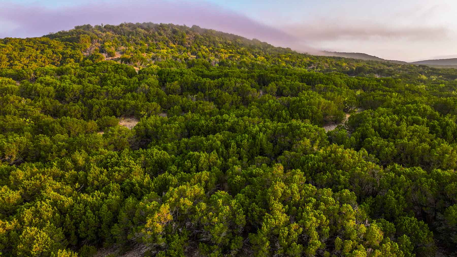 Harris Peak Ranch at Possum Kingdom property picture 80 of 100