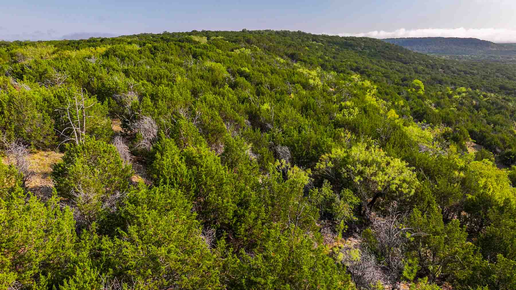 Harris Peak Ranch at Possum Kingdom property picture 83 of 100