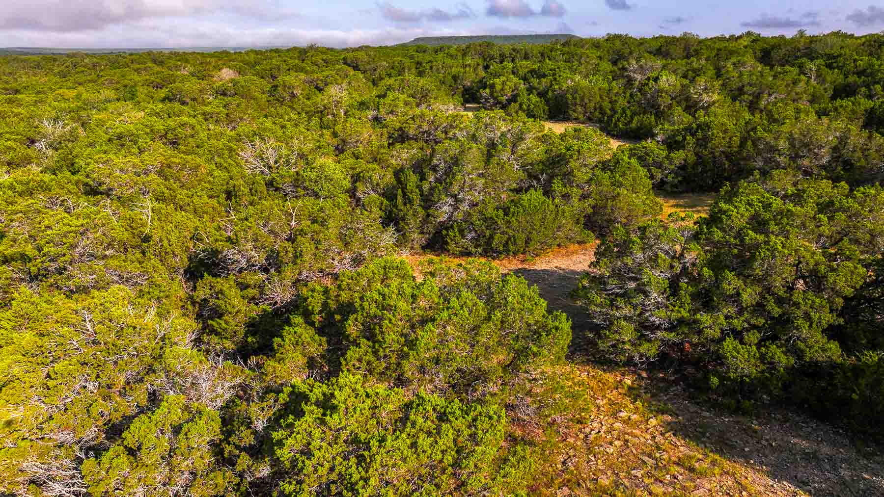 Harris Peak Ranch at Possum Kingdom property picture 63 of 100