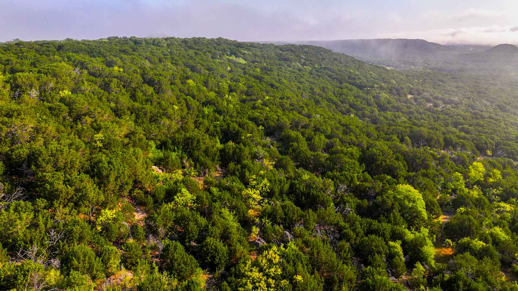Harris Peak Ranch at Possum Kingdom property picture 58 of 100