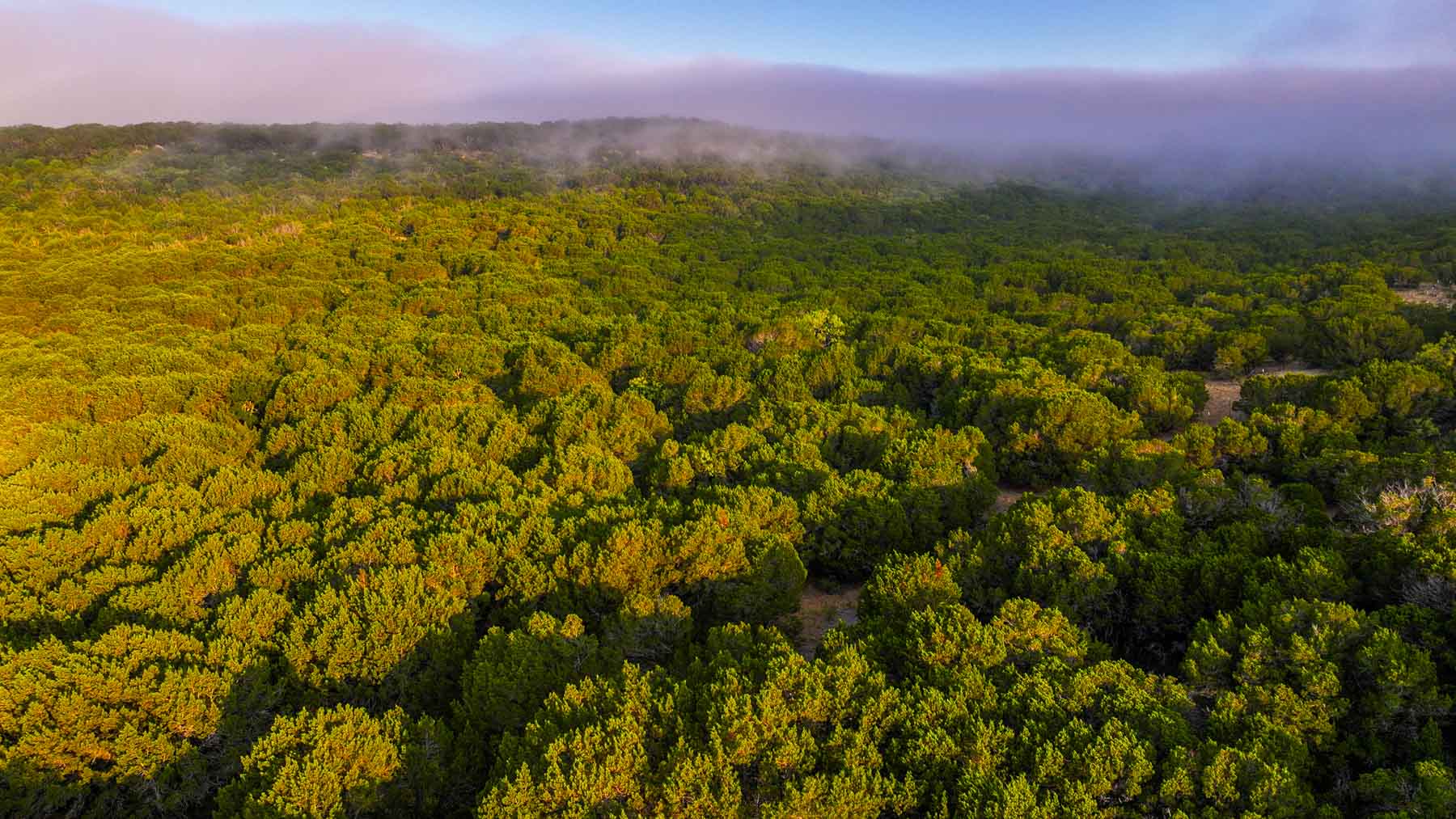 Harris Peak Ranch at Possum Kingdom property picture 55 of 100
