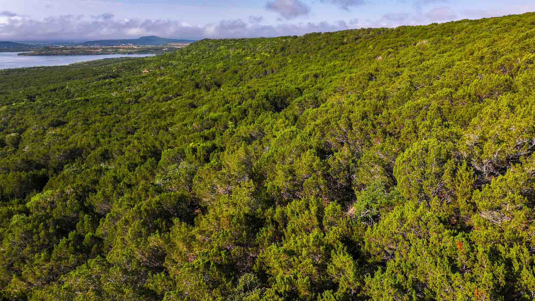 Harris Peak Ranch at Possum Kingdom property picture 64 of 100