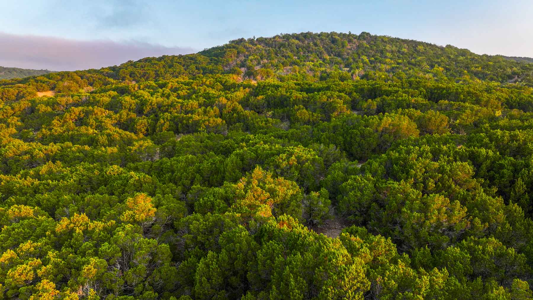 Harris Peak Ranch at Possum Kingdom property picture 14 of 100