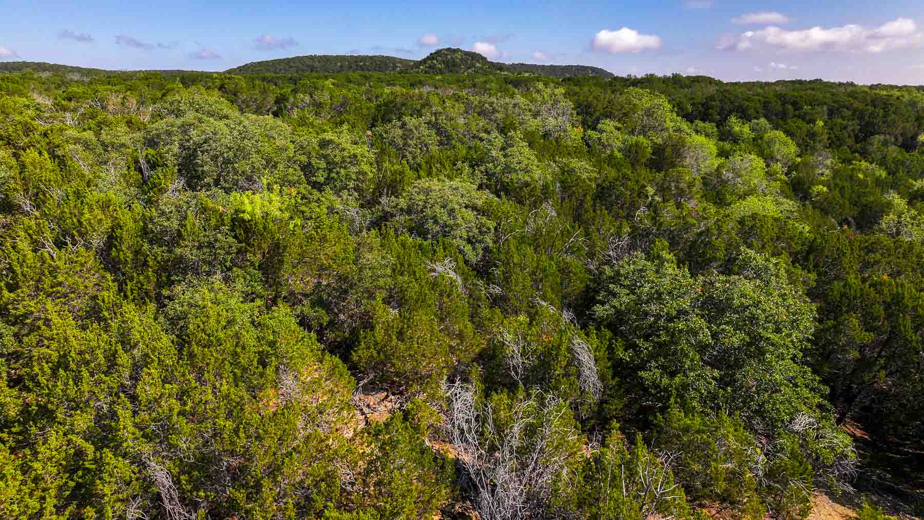 Harris Peak Ranch at Possum Kingdom property picture 73 of 100