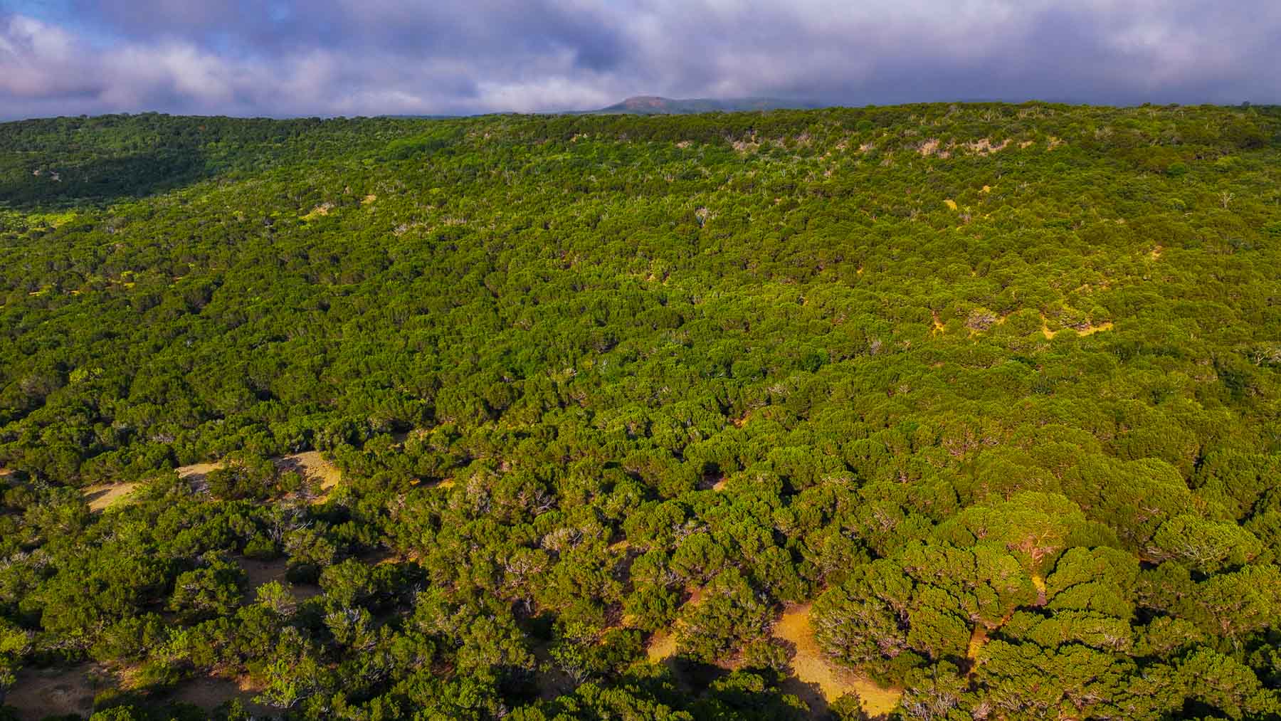 Harris Peak Ranch at Possum Kingdom property picture 62 of 100