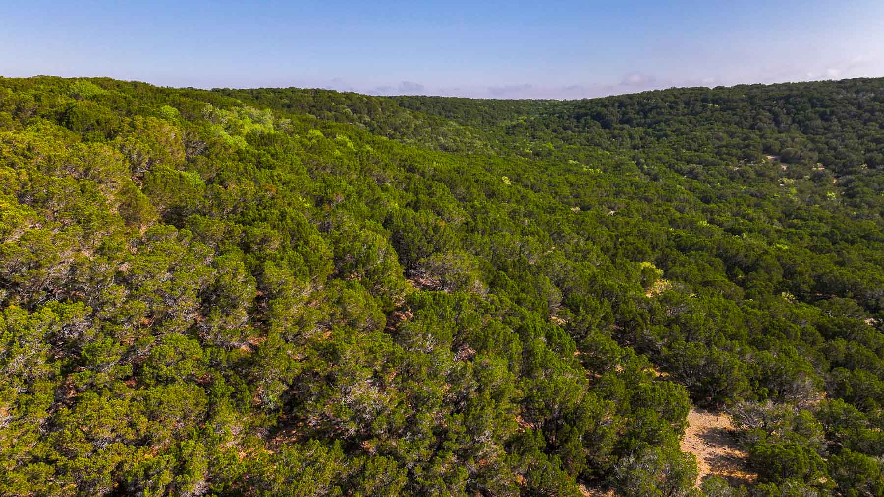 Harris Peak Ranch at Possum Kingdom property picture 69 of 100