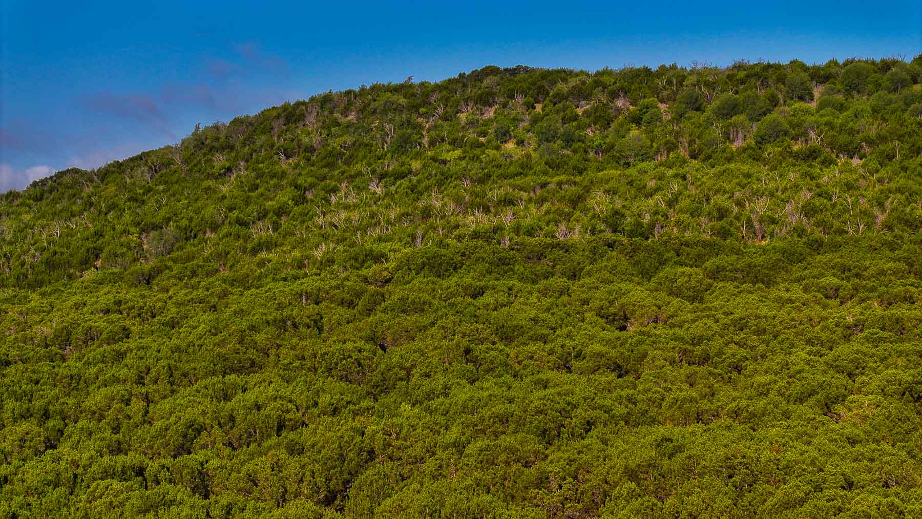 Harris Peak Ranch at Possum Kingdom property picture 86 of 100