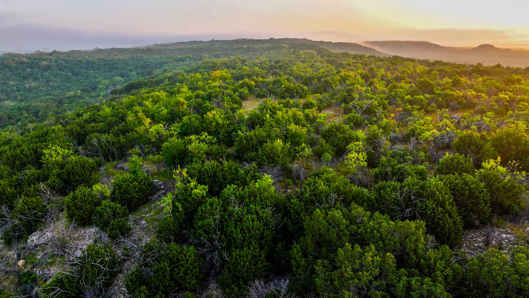 Harris Peak Ranch at Possum Kingdom property picture 13 of 100