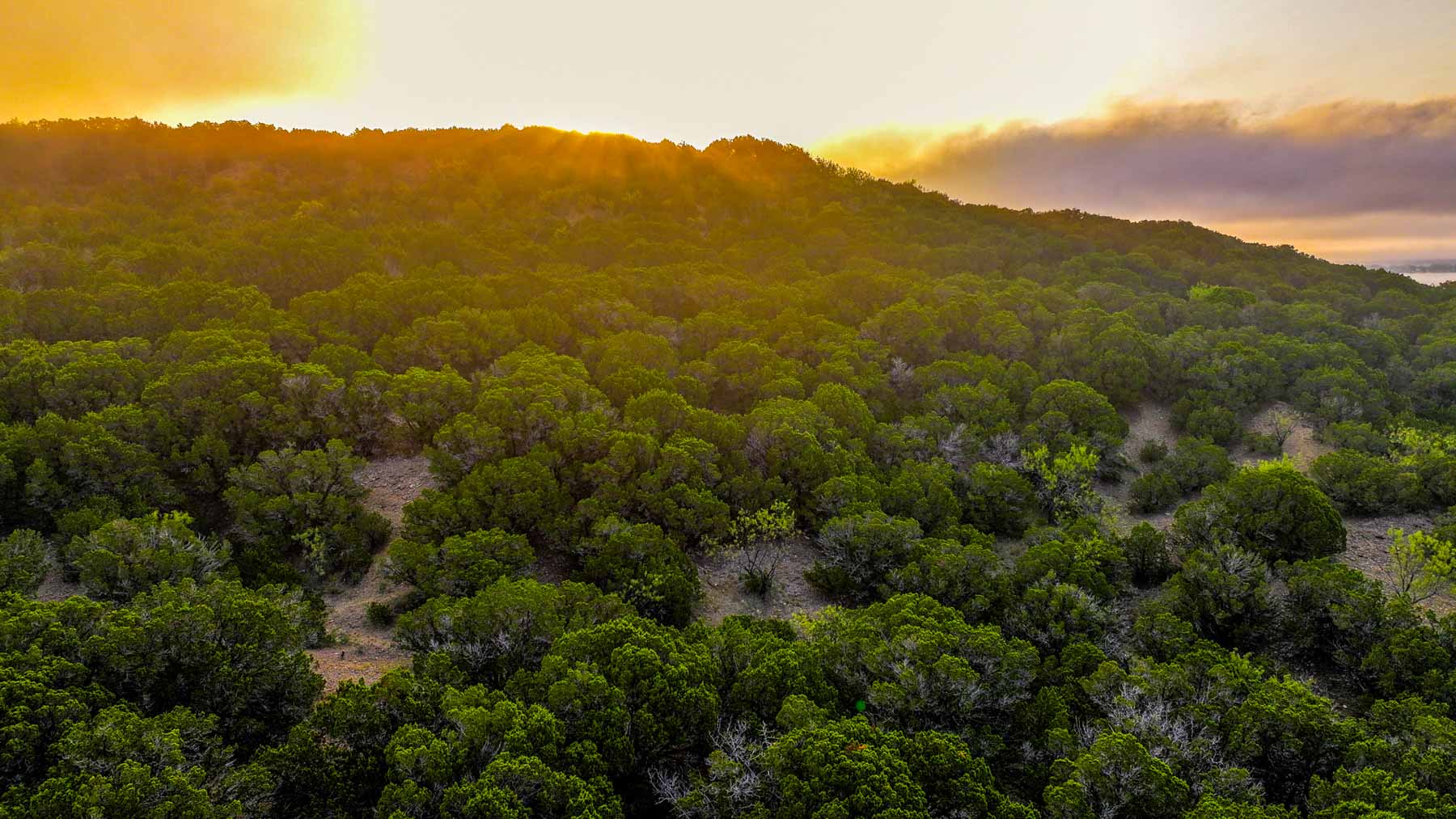 Harris Peak Ranch at Possum Kingdom property picture 20 of 100