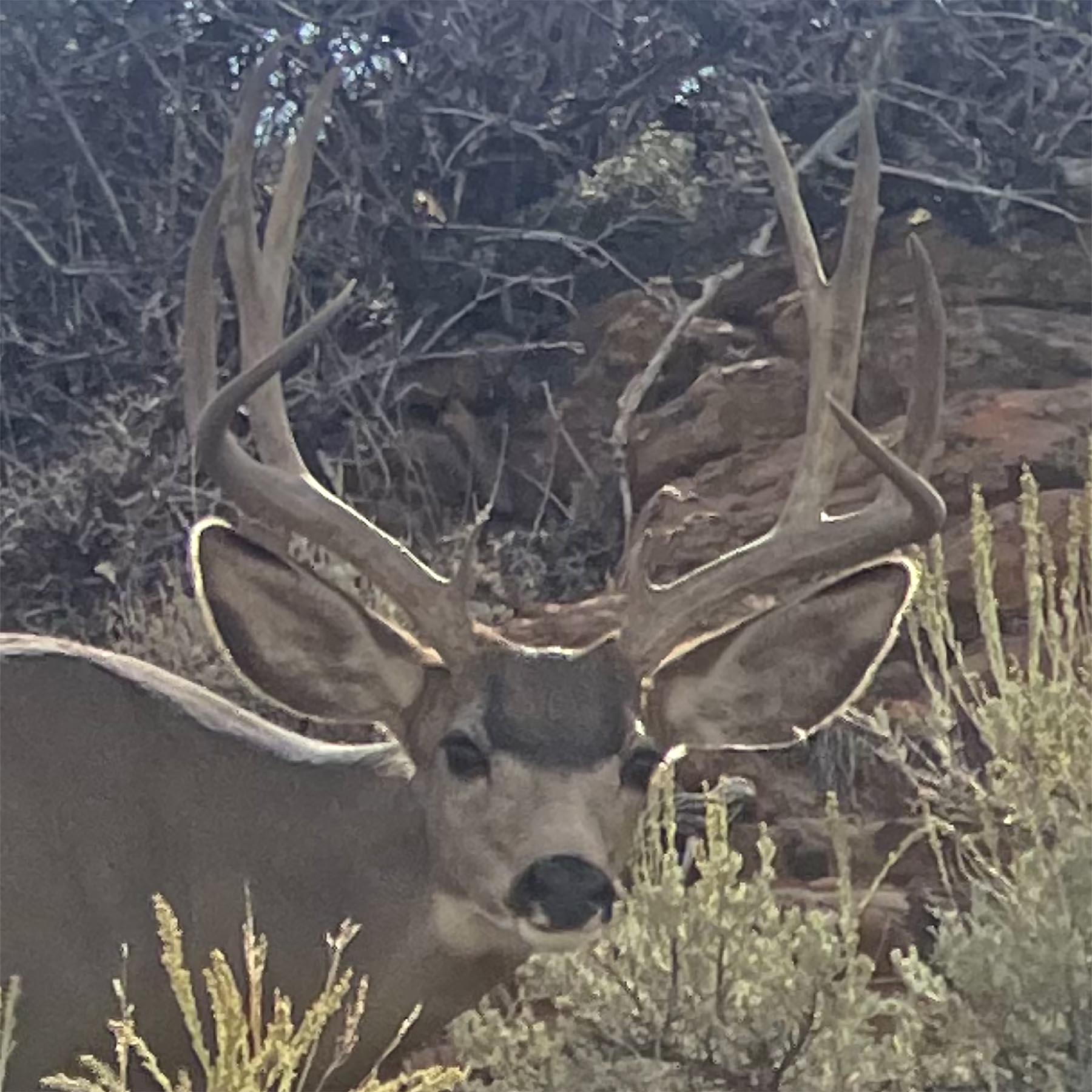 K Ranch property picture 97 of 100