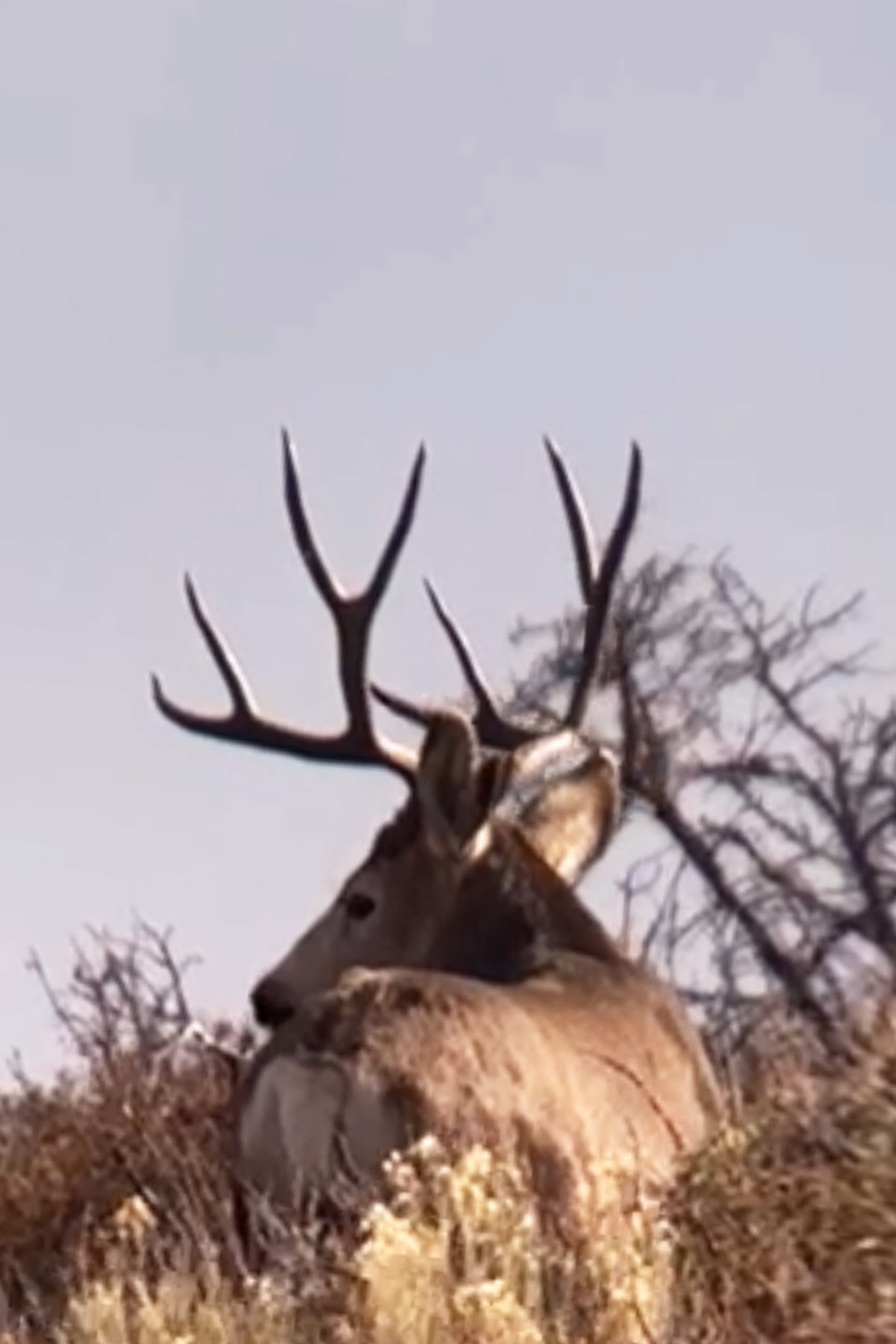 K Ranch property picture 49 of 100