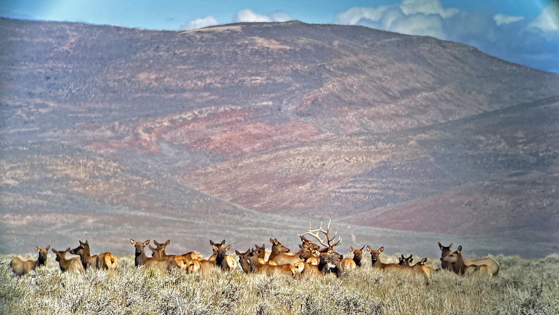 K Ranch property picture 46 of 100