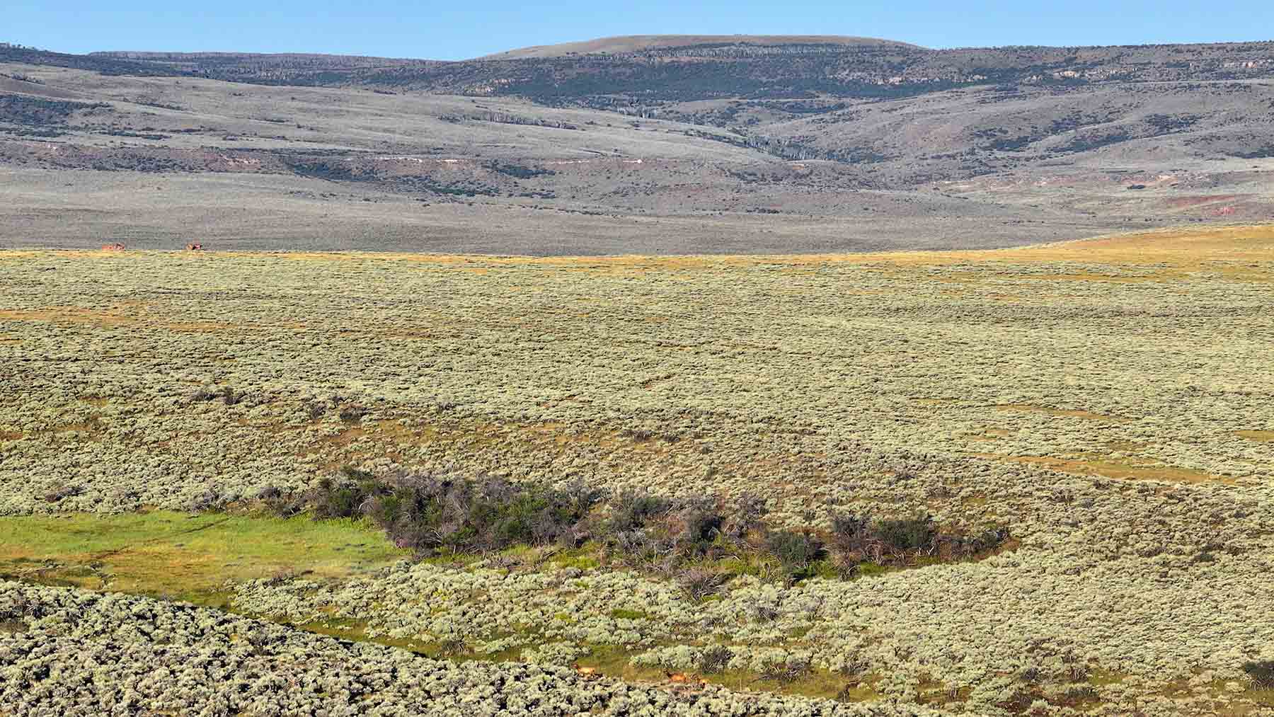 K Ranch property picture 96 of 100