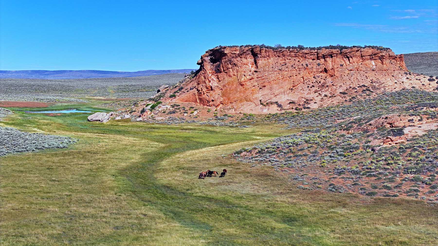 K Ranch property picture 53 of 100