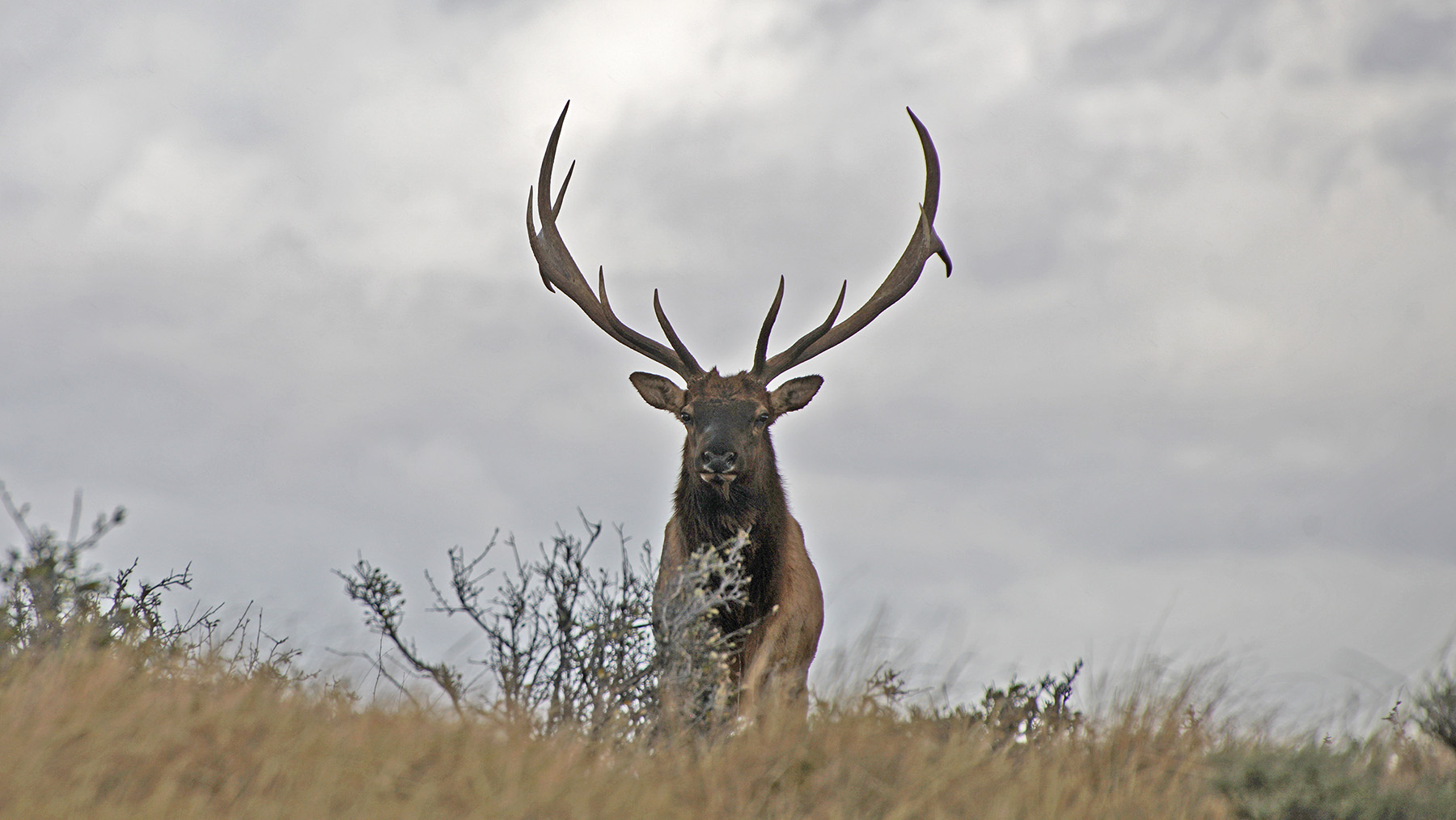 K Ranch property picture 20 of 100
