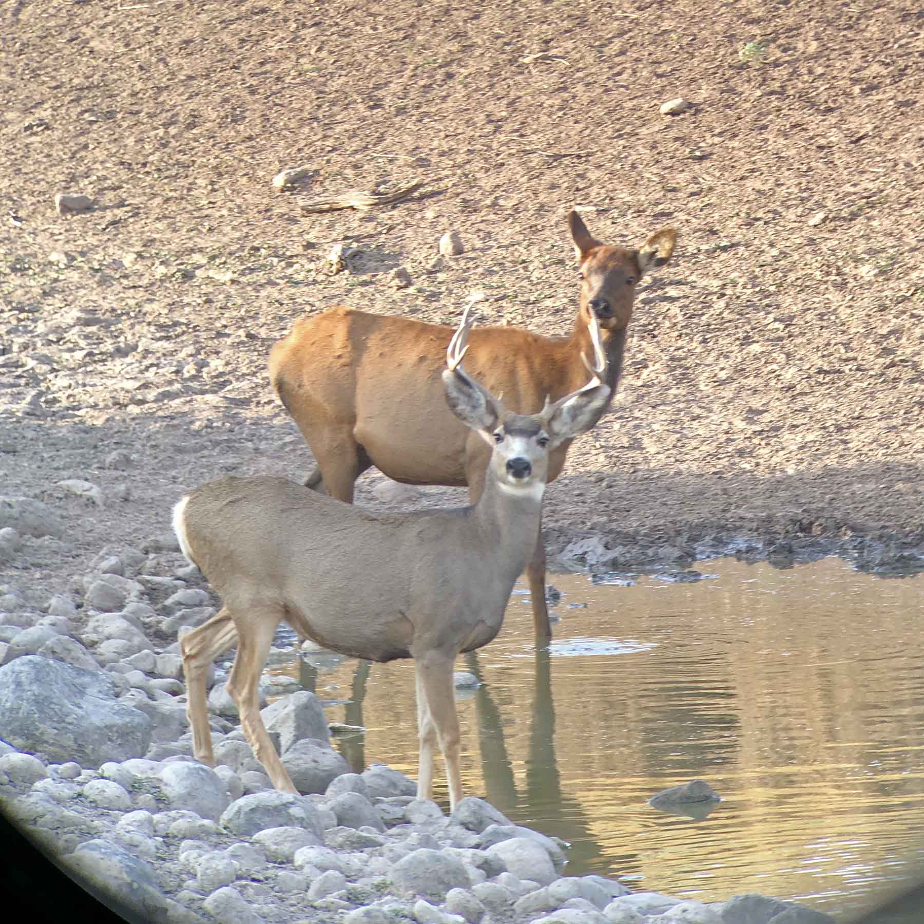 K Ranch property picture 83 of 100