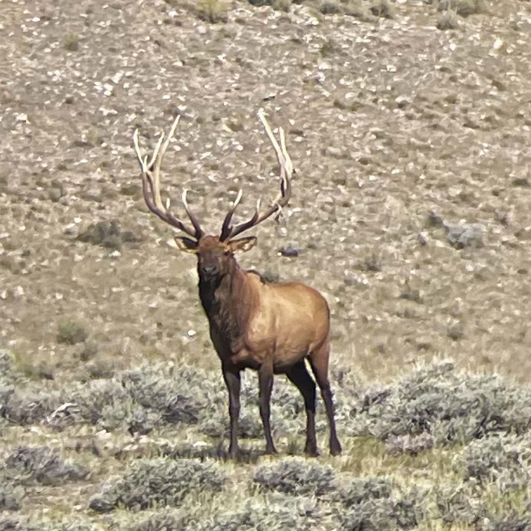 K Ranch property picture 60 of 100