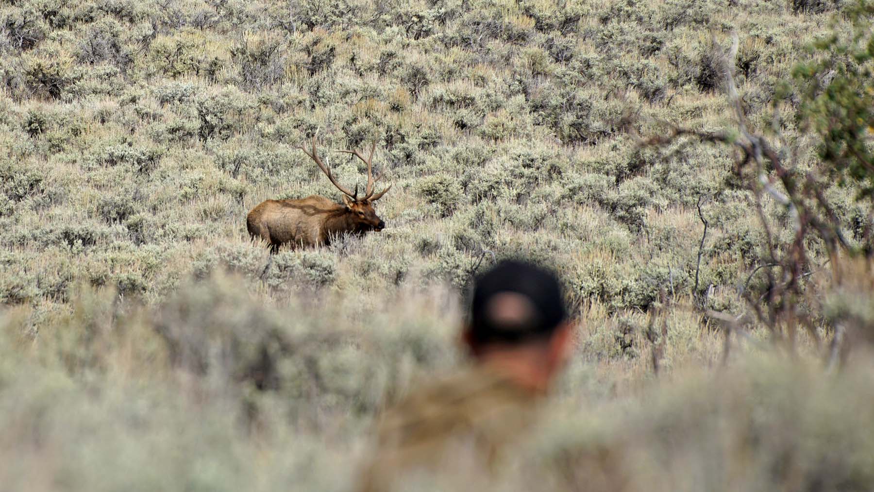 K Ranch property picture 98 of 100