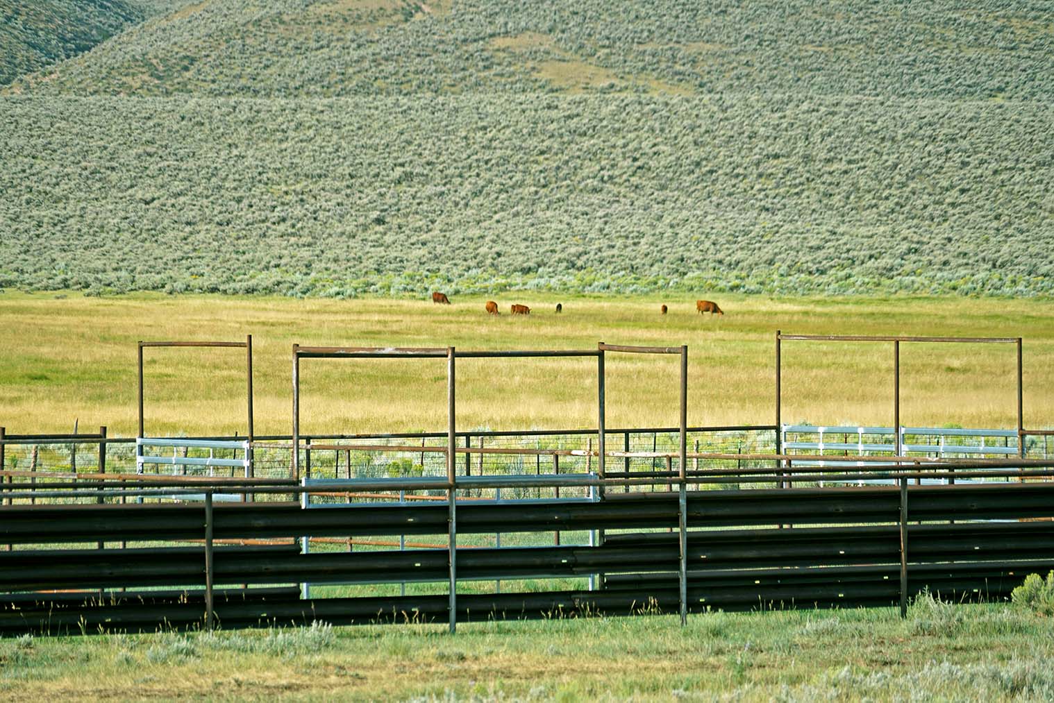 K Ranch property picture 56 of 100
