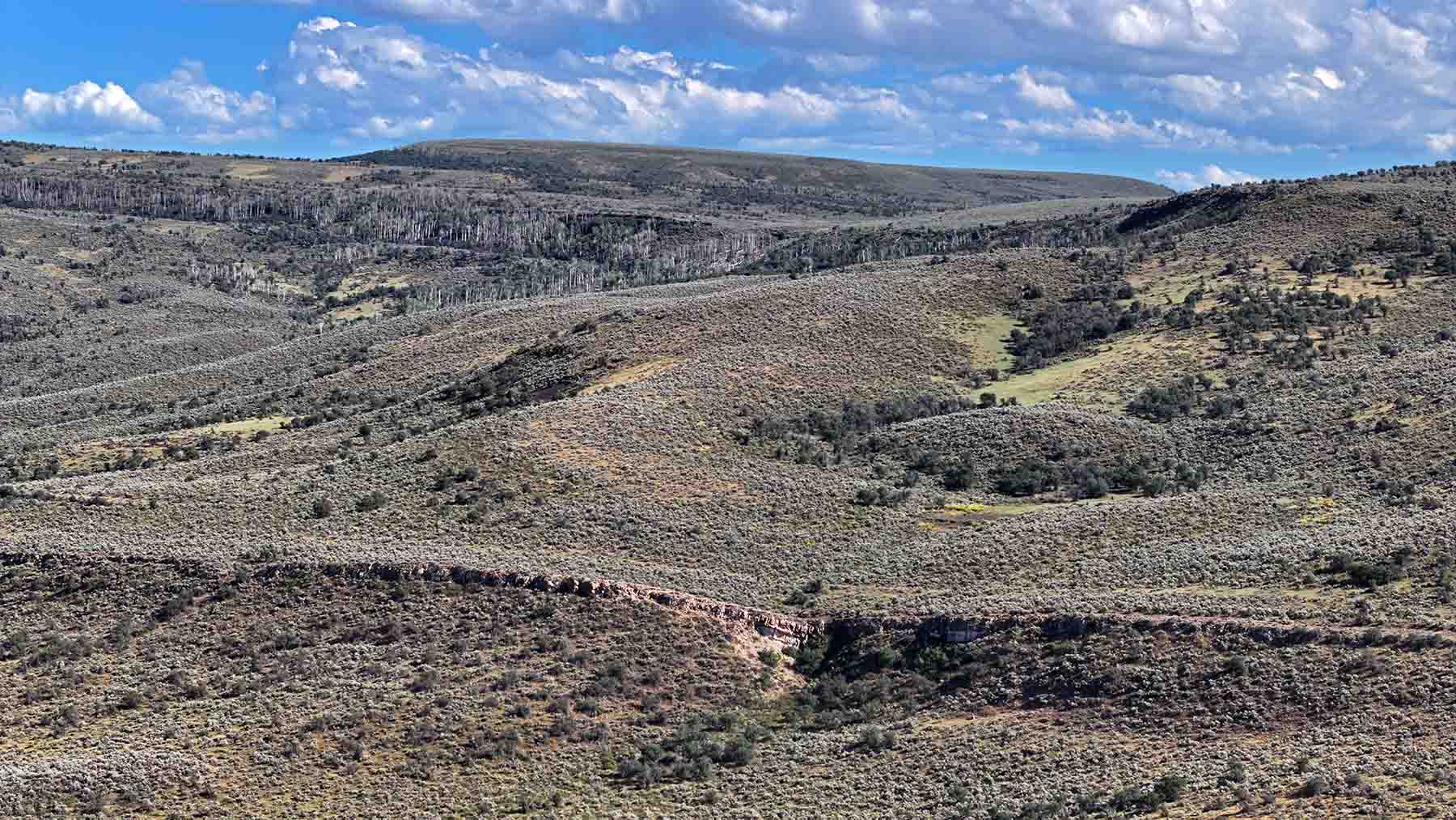 K Ranch property picture 50 of 100