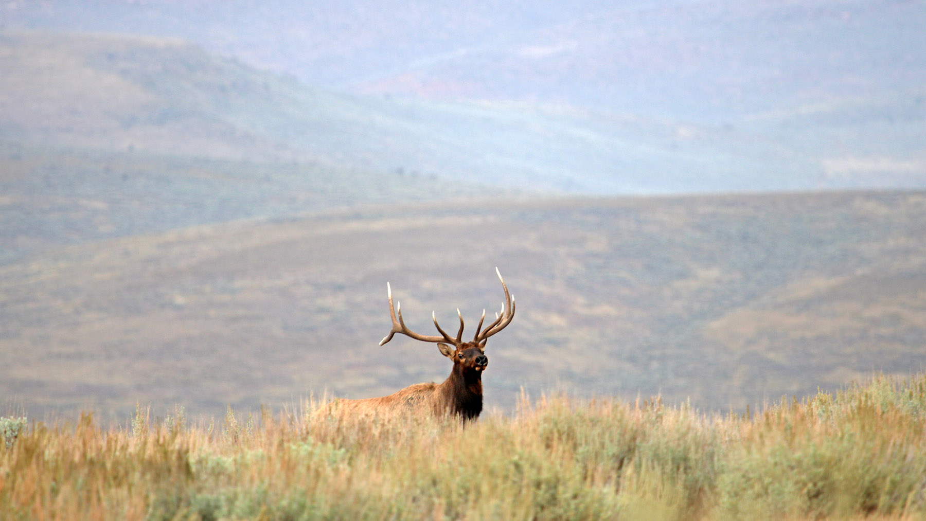 K Ranch property picture 90 of 100