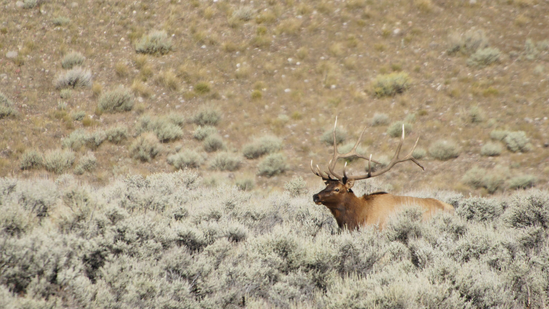 K Ranch property picture 81 of 100