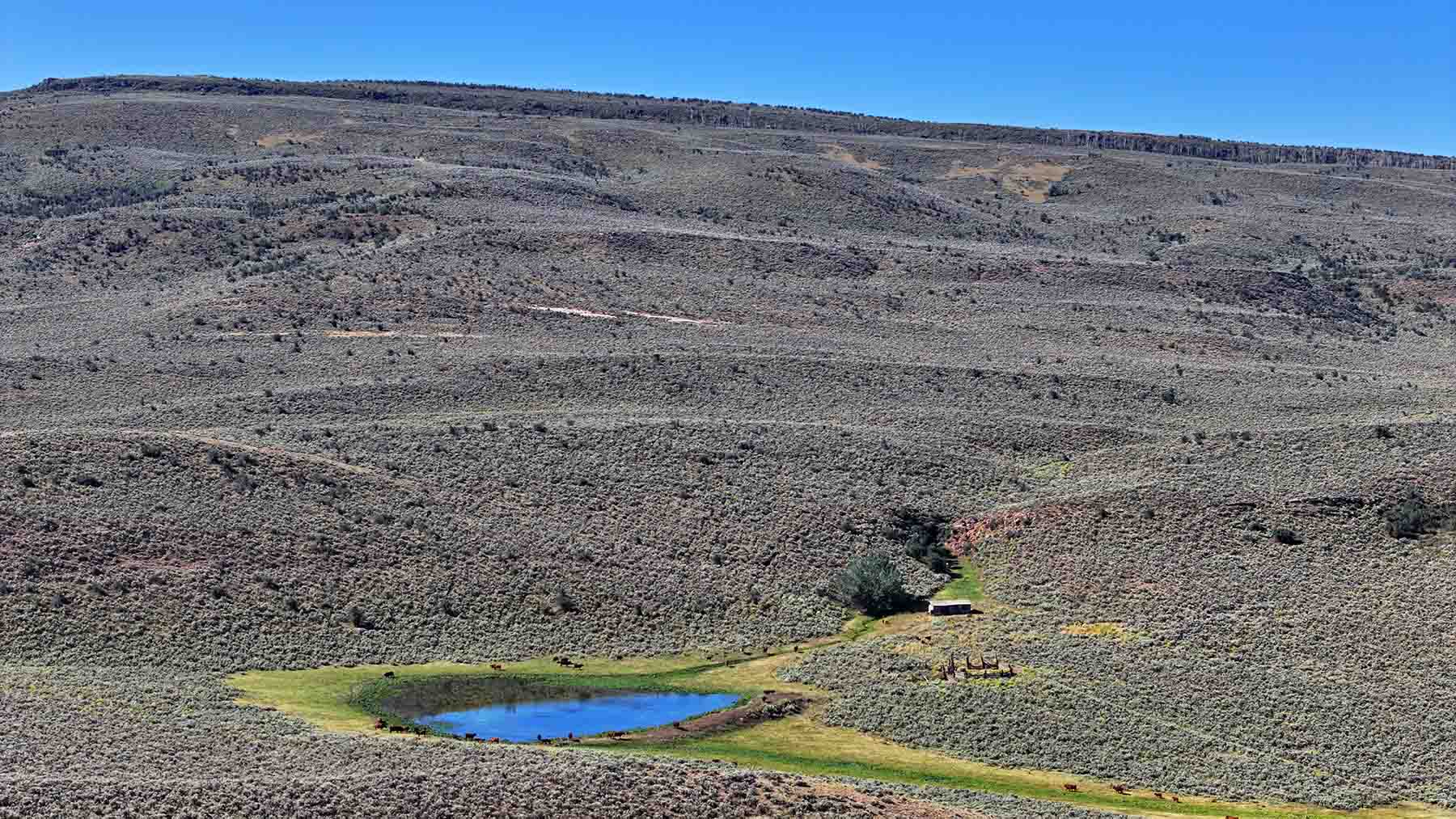 K Ranch property picture 66 of 100