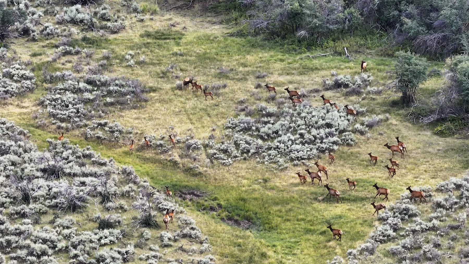 K Ranch property picture 23 of 100