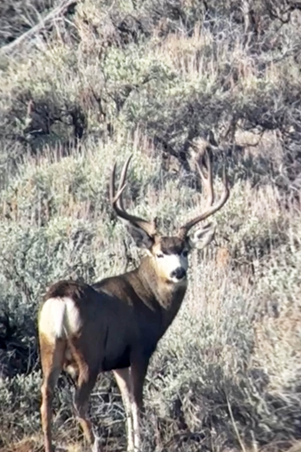 K Ranch property picture 43 of 100