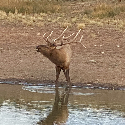 K Ranch property picture 35 of 100