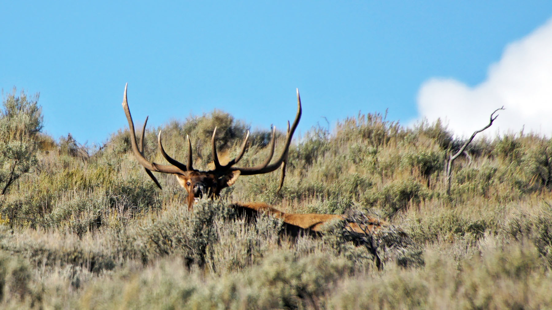 K Ranch property picture 5 of 100