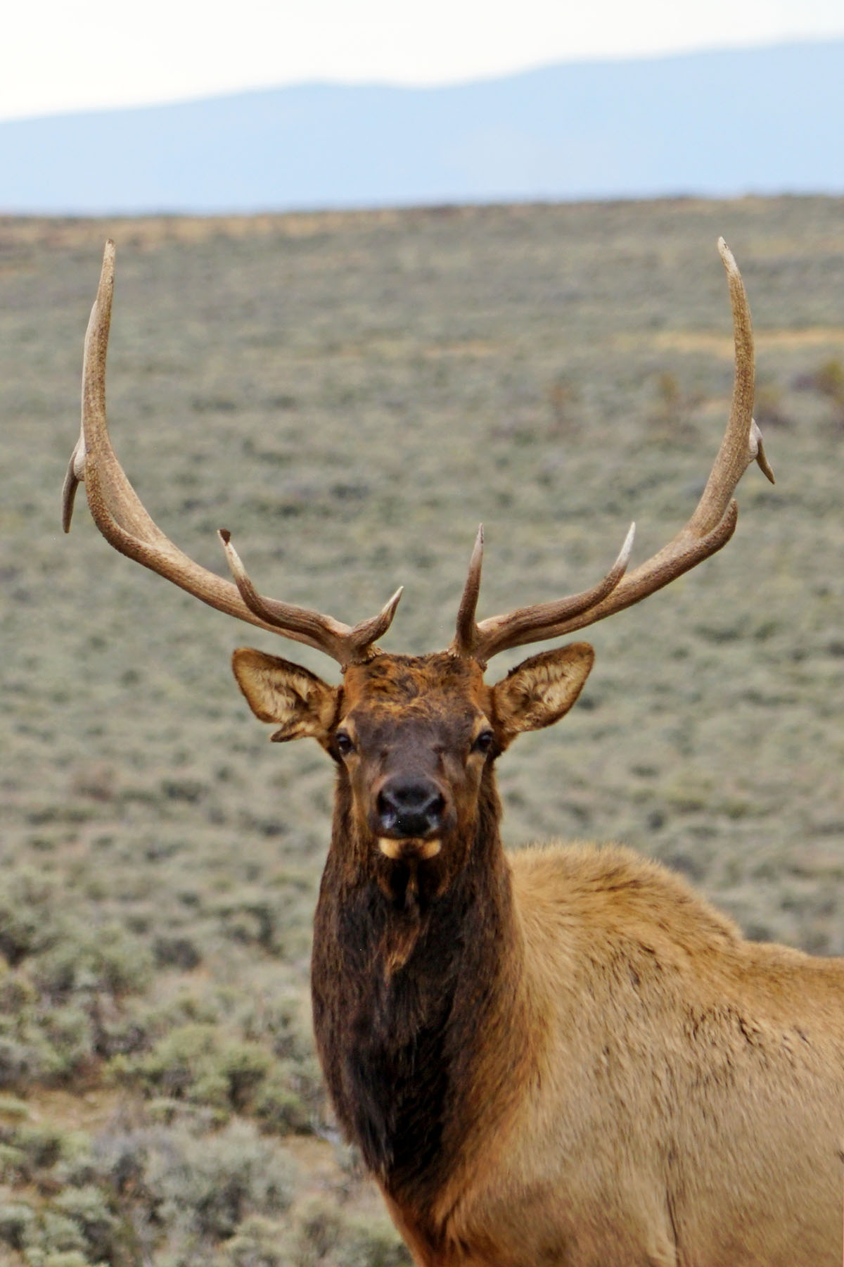 K Ranch property picture 40 of 100