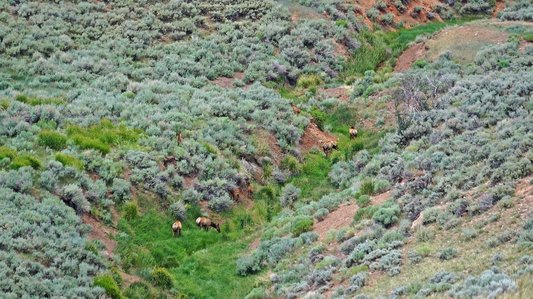 K Ranch property picture 86 of 100