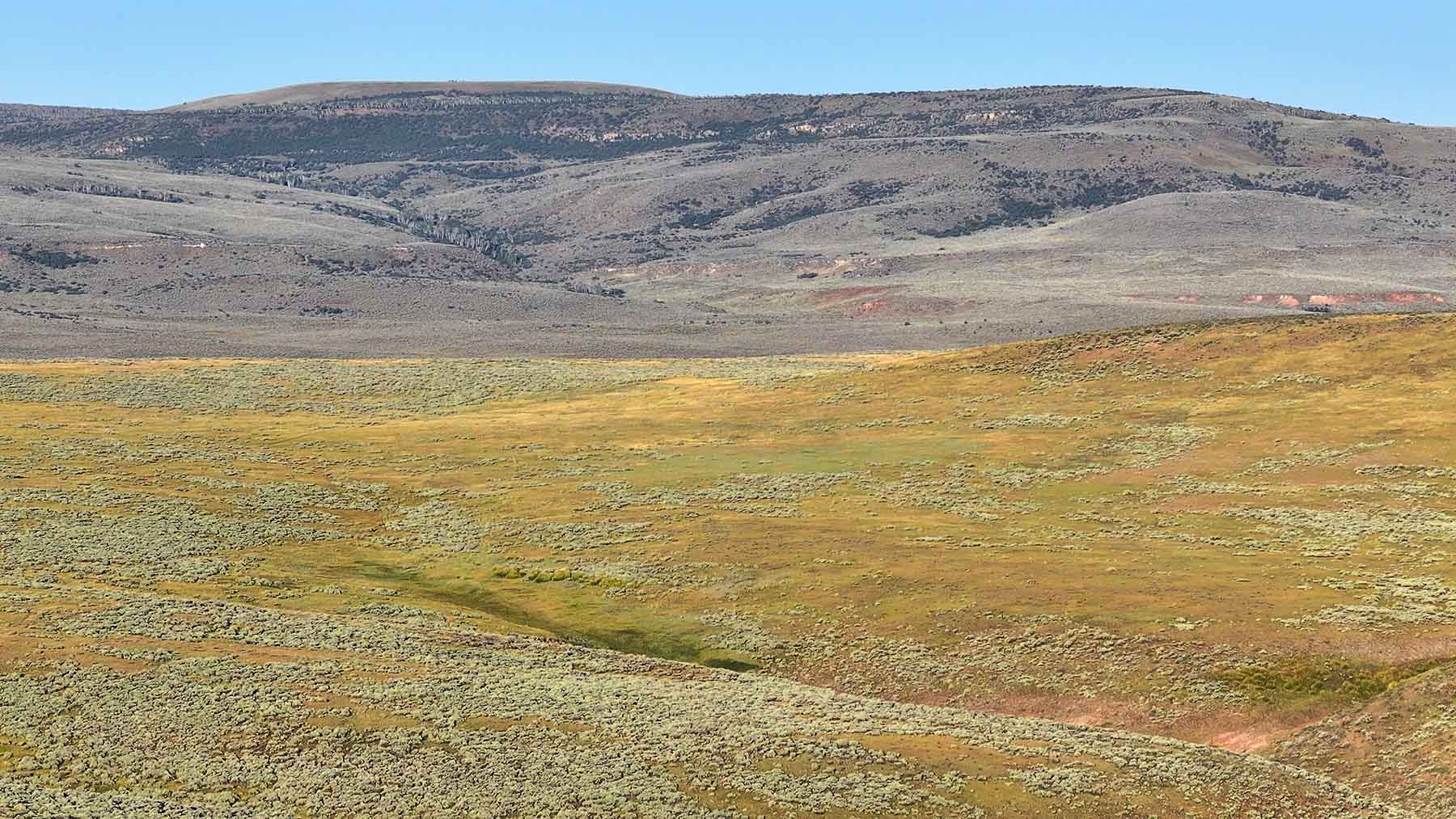 K Ranch property picture 89 of 100