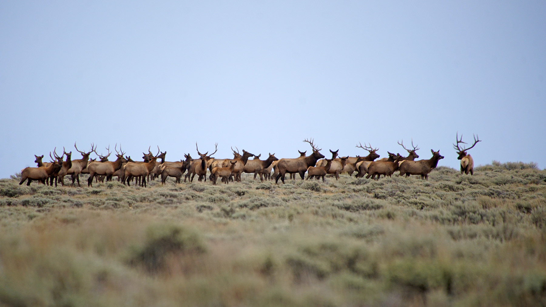 K Ranch property picture 10 of 100