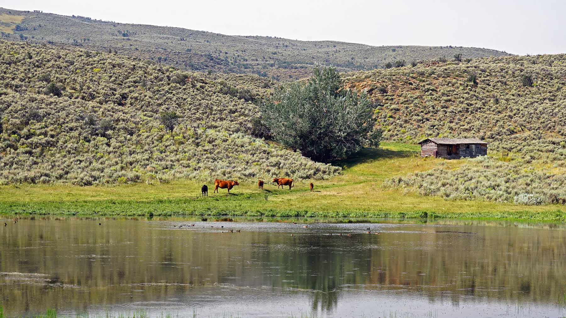 K Ranch property picture 41 of 100